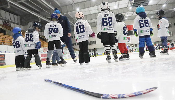Pojď hrát hokej! Táborská kohoutí rodina přivítala nové kamarády