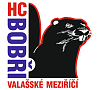 Valašské Meziříčí