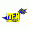 NED Hockey Nymburk