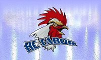 Ve středu 24. června od 18 hodin se koná v Domě armády valná hromada spolku Hockey Club Tábor