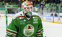 Roman Will! Svou výzvu poslal k Jordánu jeden z nejlepších českých gólmanů