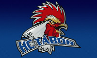 Klub HC Tábor obdrží od Jihočeského kraje dotaci v celkové výši 124 tisíc korun