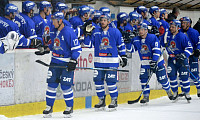 Klidný, šťastný a úspěšný nový rok 2021 přeje všem svým přátelům HC Tábor