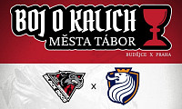Univerzitní liga ledního hokeje ve středu zavítá do Tábora! Pomůžete Black Dogs?