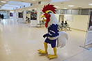 IMG_6583.jpg