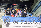 IMG_6568.jpg