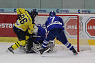 IMG_1168.jpg
