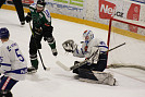 IMG_5595.JPG