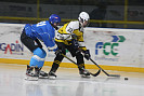 IMG_6667.JPG