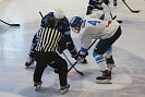 IMG_9237.JPG