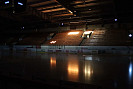 IMG_7313.jpg
