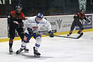 IMG_6504.jpg