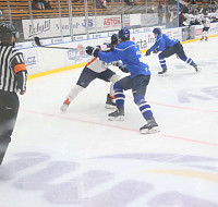 IMG_2371.jpg