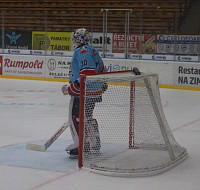 IMG_5699.jpg