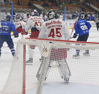 IMG_6445.jpg