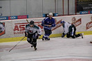 PB104071.jpg