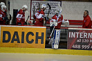 DSC_0317.JPG