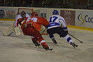 DSC_0203.jpg