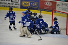 DSC_0704.JPG