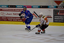 DSC_0133.jpg