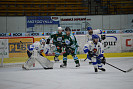 DSC_6856.jpg