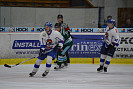 DSC_6937.jpg