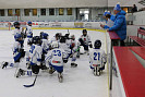 IMG_4090.jpg