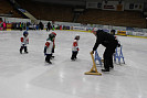 IMG_1767.jpg