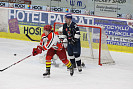 IMG_7979.jpg