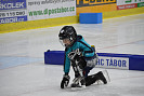 DSC_1187.JPG