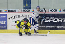 IMG_5653.JPG