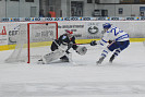 DSC_0145.jpg